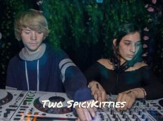 Two_SpicyKitties