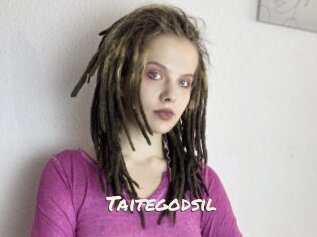 Taitegodsil