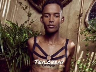Teylorray