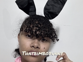 Thatbimbobunny