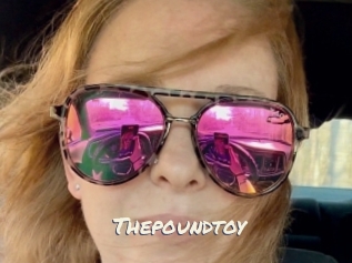 Thepoundtoy