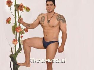 Thormuscle1