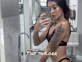 Tiny_taylorr