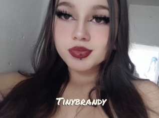 Tinybrandy