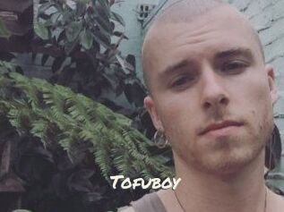 Tofu_boy
