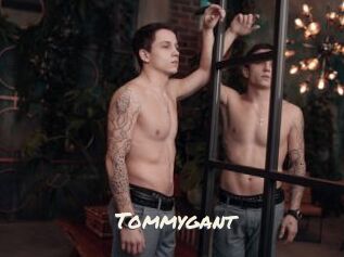 Tommygant