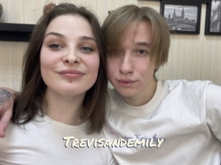 Trevisandemily