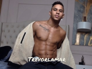 Trevorlamar