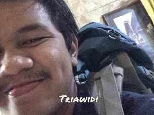 Triawidi
