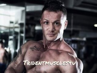 Tridentmuscles4u