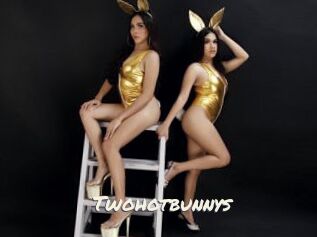 Twohotbunnys