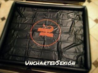 UnchartedSexion