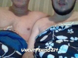 UncutPenis0214