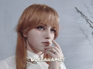 Udelahames
