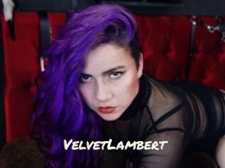 VelvetLambert