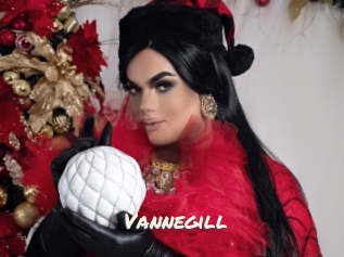 vannegill Vierges