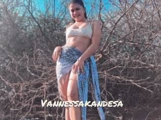 Vannessakandesa