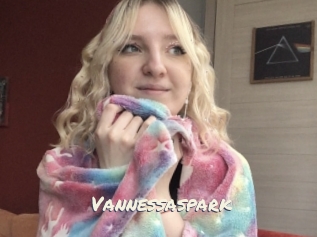 Vannessaspark