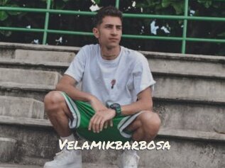 Velamikbarbosa