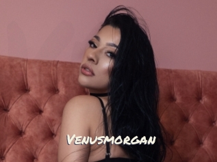 Venusmorgan