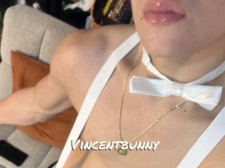 Vincentbunny