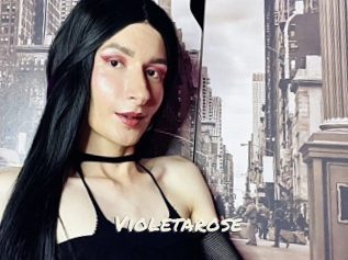 Violetarose