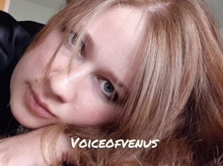 Voiceofvenus