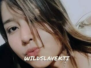 WILDSLAVEKTI