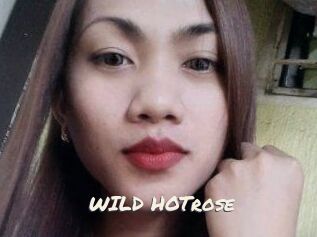 WILD_HOTrose
