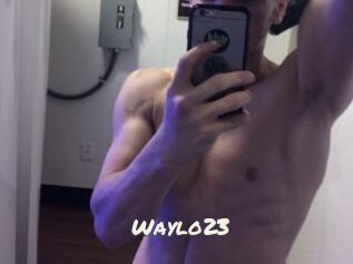 Waylo23