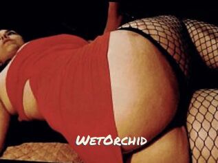 WetOrchid