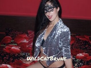 WildCatBrune