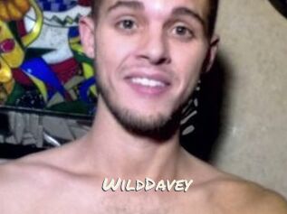 WildDavey