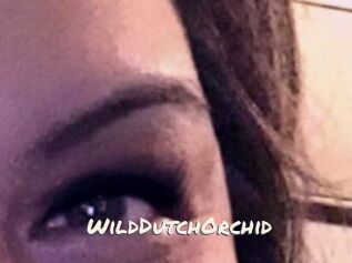 WildDutchOrchid