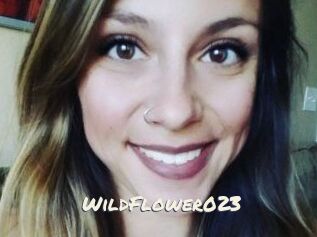 WildFlower023