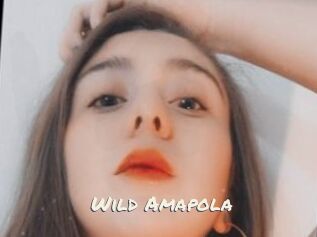 Wild_Amapola