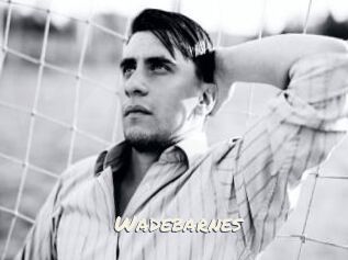 Wadebarnes