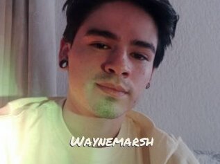 Waynemarsh