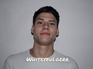 Whitey_bulgerr