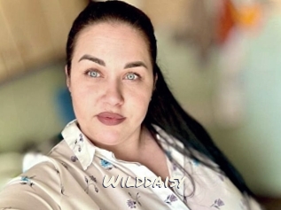 Wilddaisy