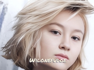 Wilonefudge