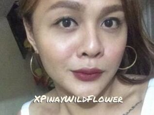 XPinayWildFlower