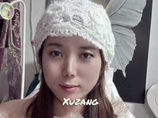 Xuzang