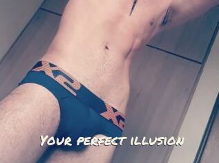 Your_perfect_illusion