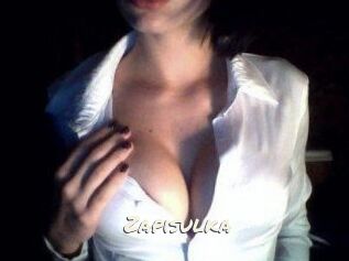Zapisulka