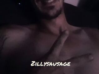 Zillysausage