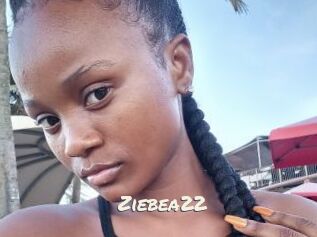 Ziebea22