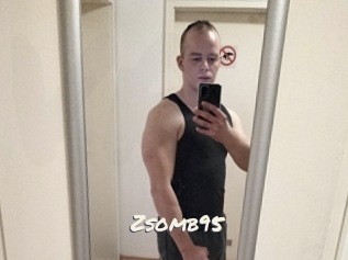 Zsomb95